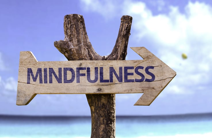 Mindfulness And Wellness In A Digital Age